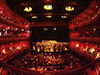 Other Venues
